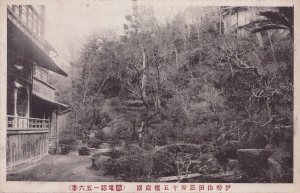 十五楼　庭園